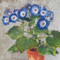 Preview: Aschenblume - Kartenset