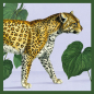 Preview: Quadratisches Kartenset "Exotische Tiere"