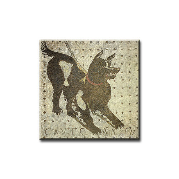 Magnet - Cave Canem
