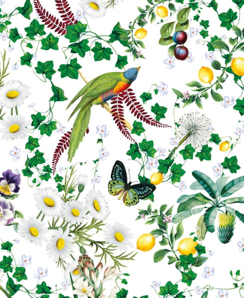 Birds and Butterflies - Kartenset