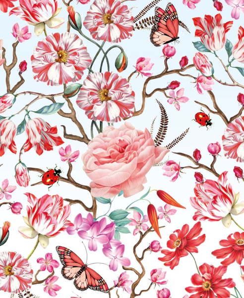 Birds and Butterflies - Kartenset