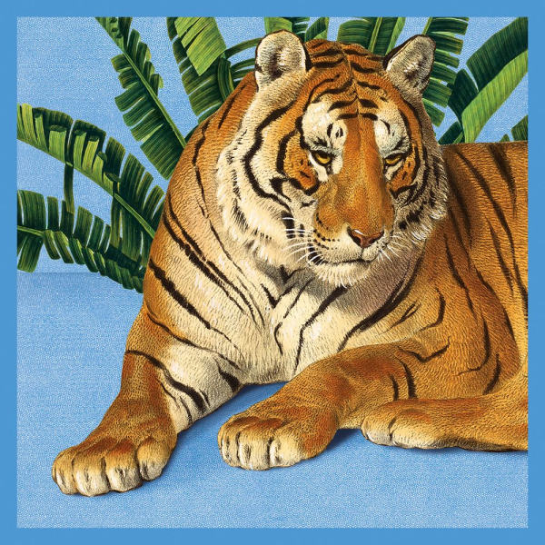 Quadratisches Kartenset "Exotische Tiere"