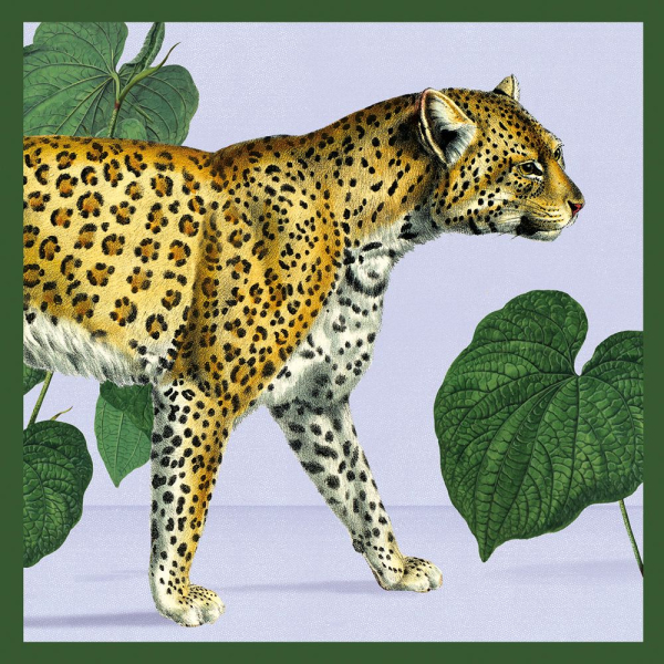 Quadratisches Kartenset "Exotische Tiere"