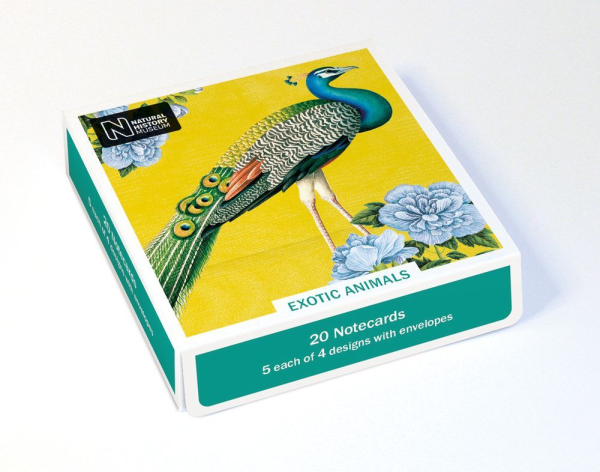 Quadratisches Kartenset "Exotische Tiere"