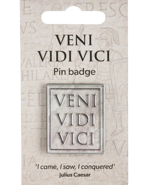 Anstecker Veni vidi vici