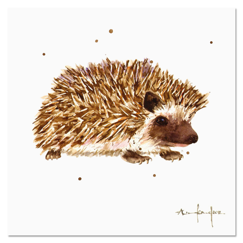 Alison's Ark "Prickly Paul"