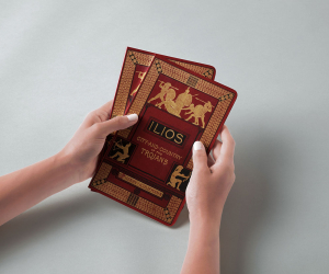 Schliemann, Ilios-City and Country of the Trojans - Notizheft